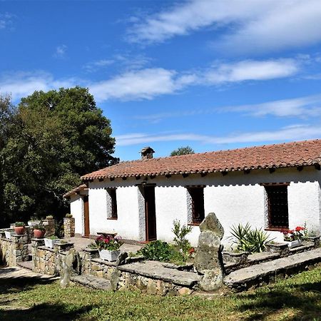 B&B I Menhir Sorgono Extérieur photo