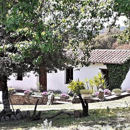 B&B I Menhir Sorgono Extérieur photo