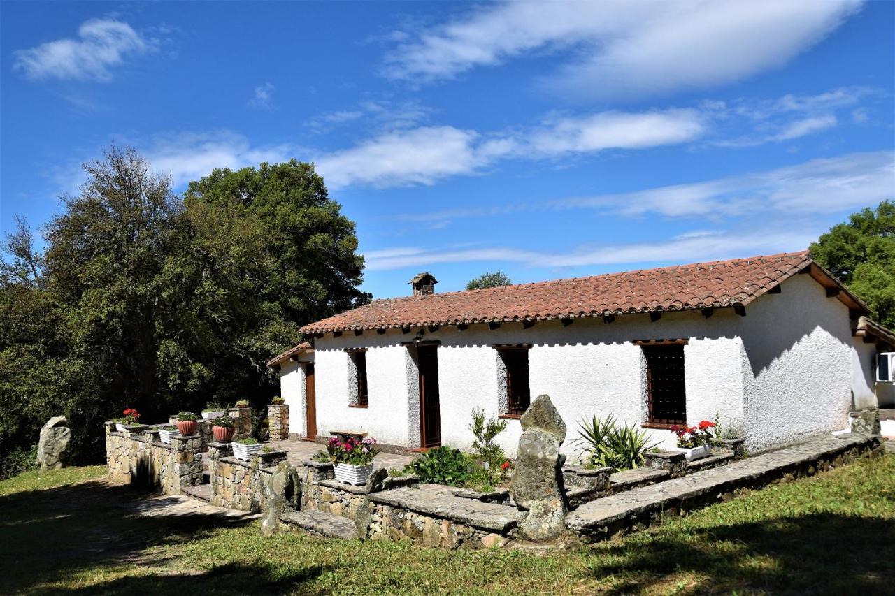 B&B I Menhir Sorgono Extérieur photo