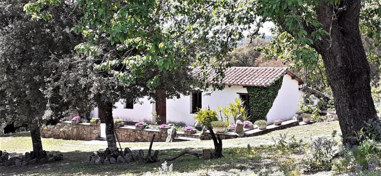 B&B I Menhir Sorgono Extérieur photo