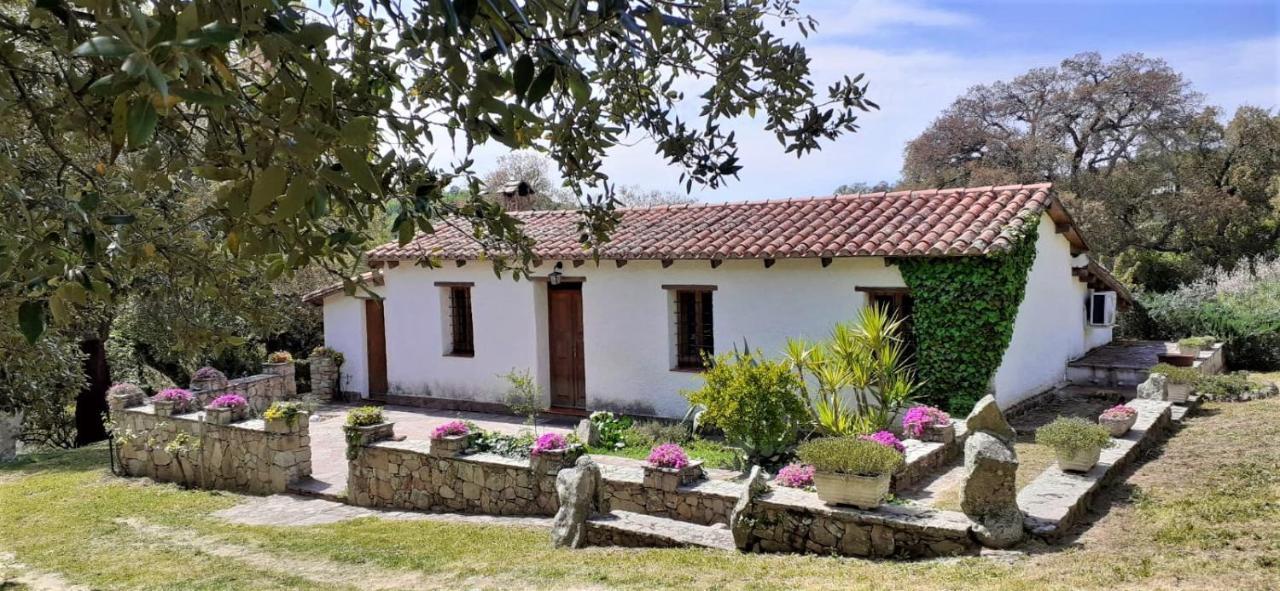 B&B I Menhir Sorgono Extérieur photo