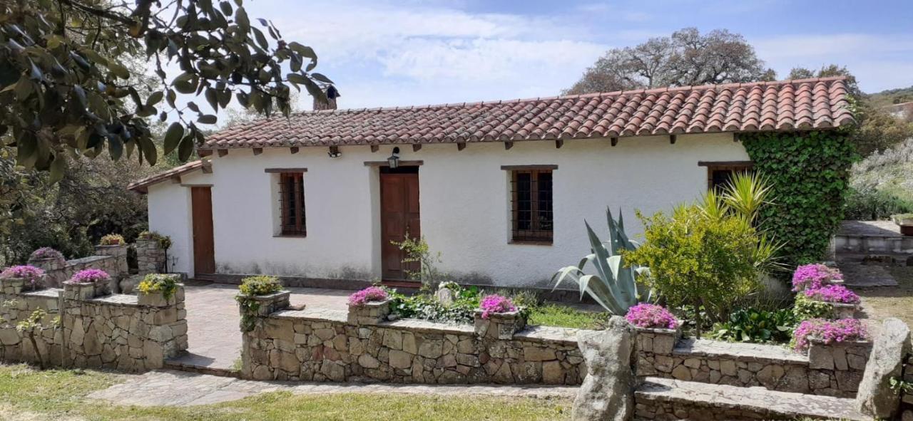 B&B I Menhir Sorgono Extérieur photo
