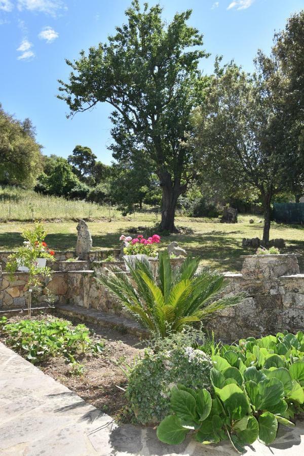 B&B I Menhir Sorgono Extérieur photo