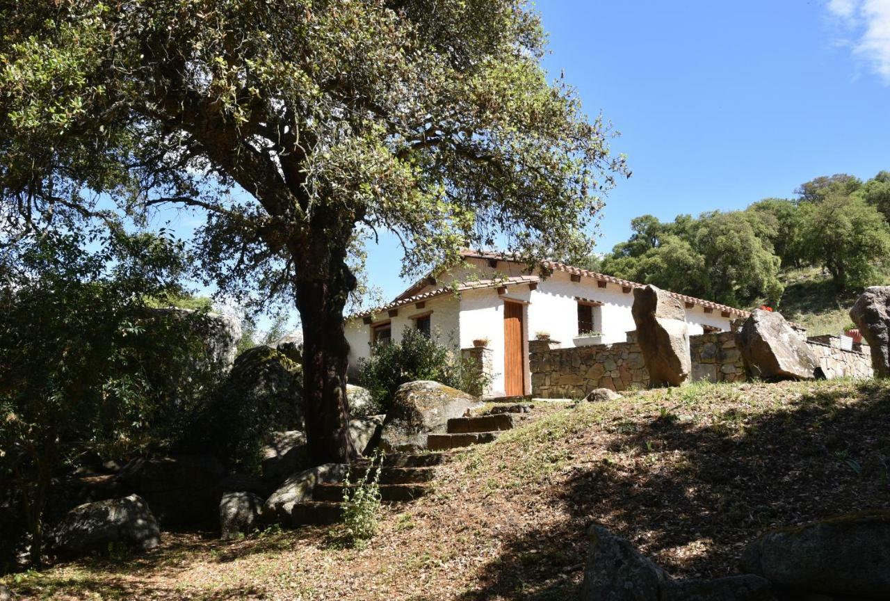 B&B I Menhir Sorgono Extérieur photo