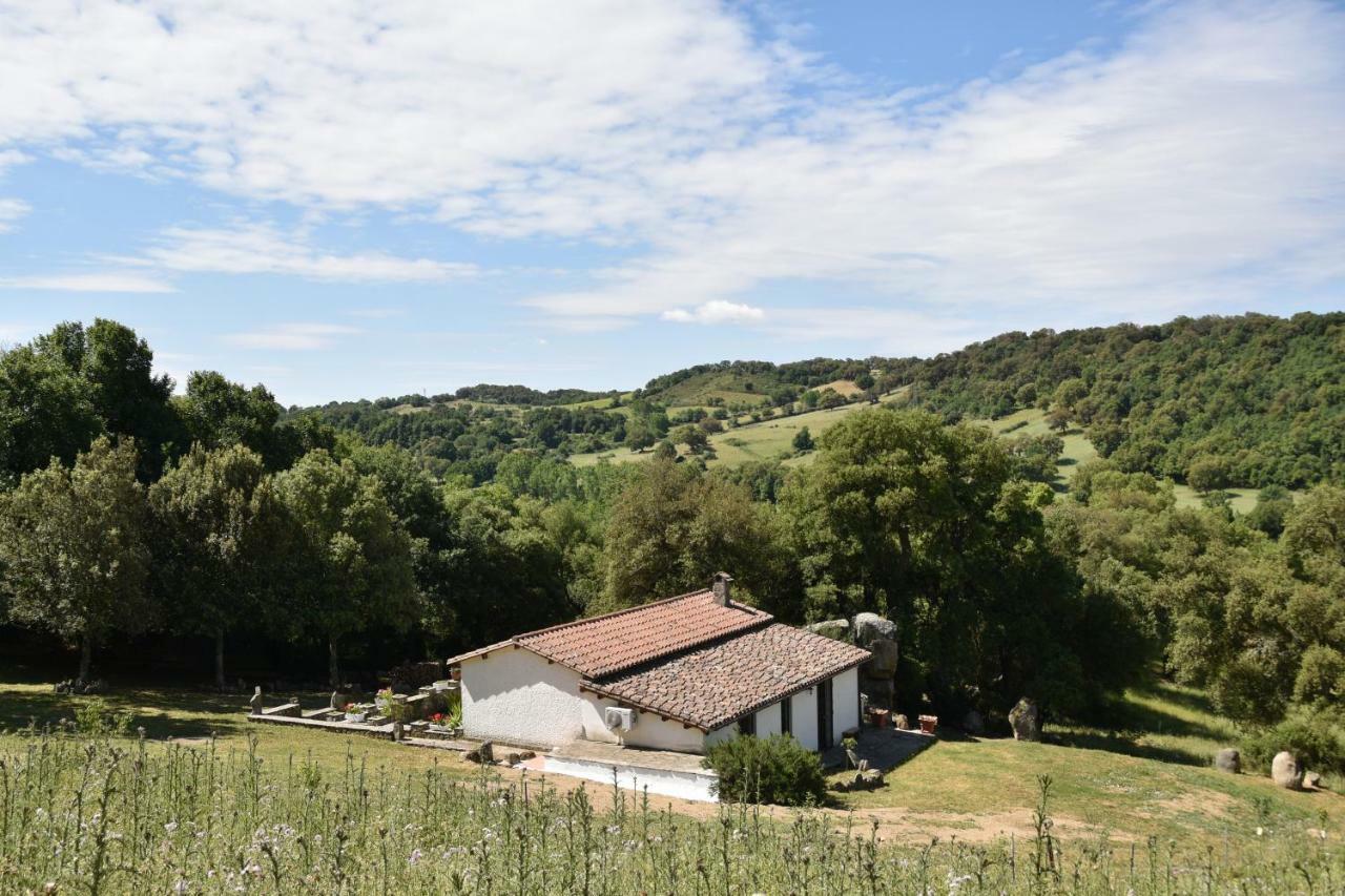 B&B I Menhir Sorgono Extérieur photo