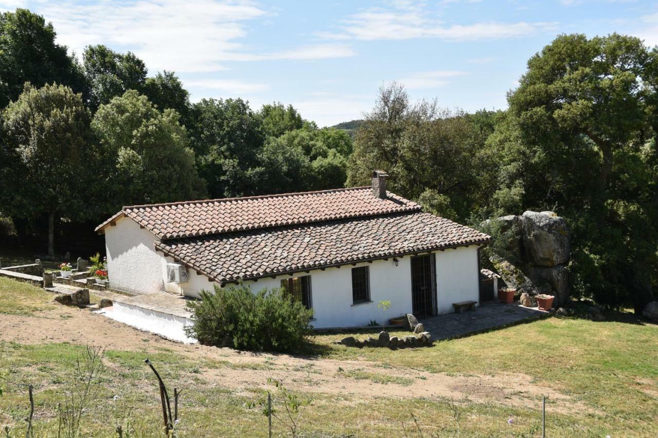 B&B I Menhir Sorgono Extérieur photo