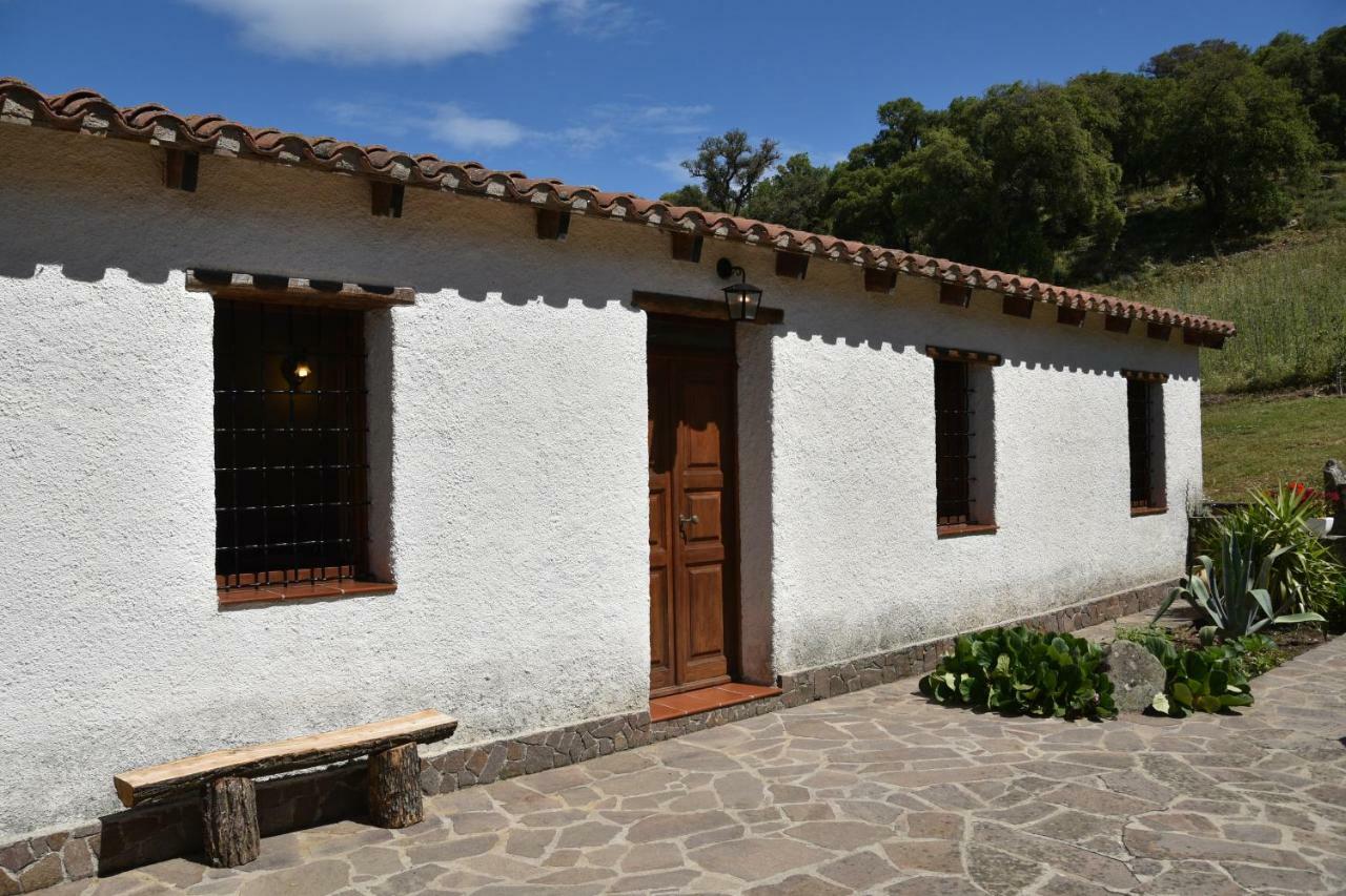 B&B I Menhir Sorgono Extérieur photo