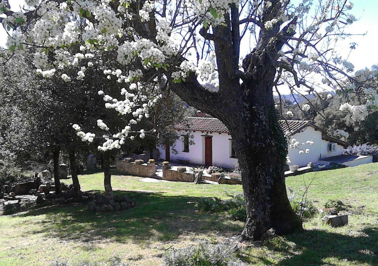 B&B I Menhir Sorgono Extérieur photo