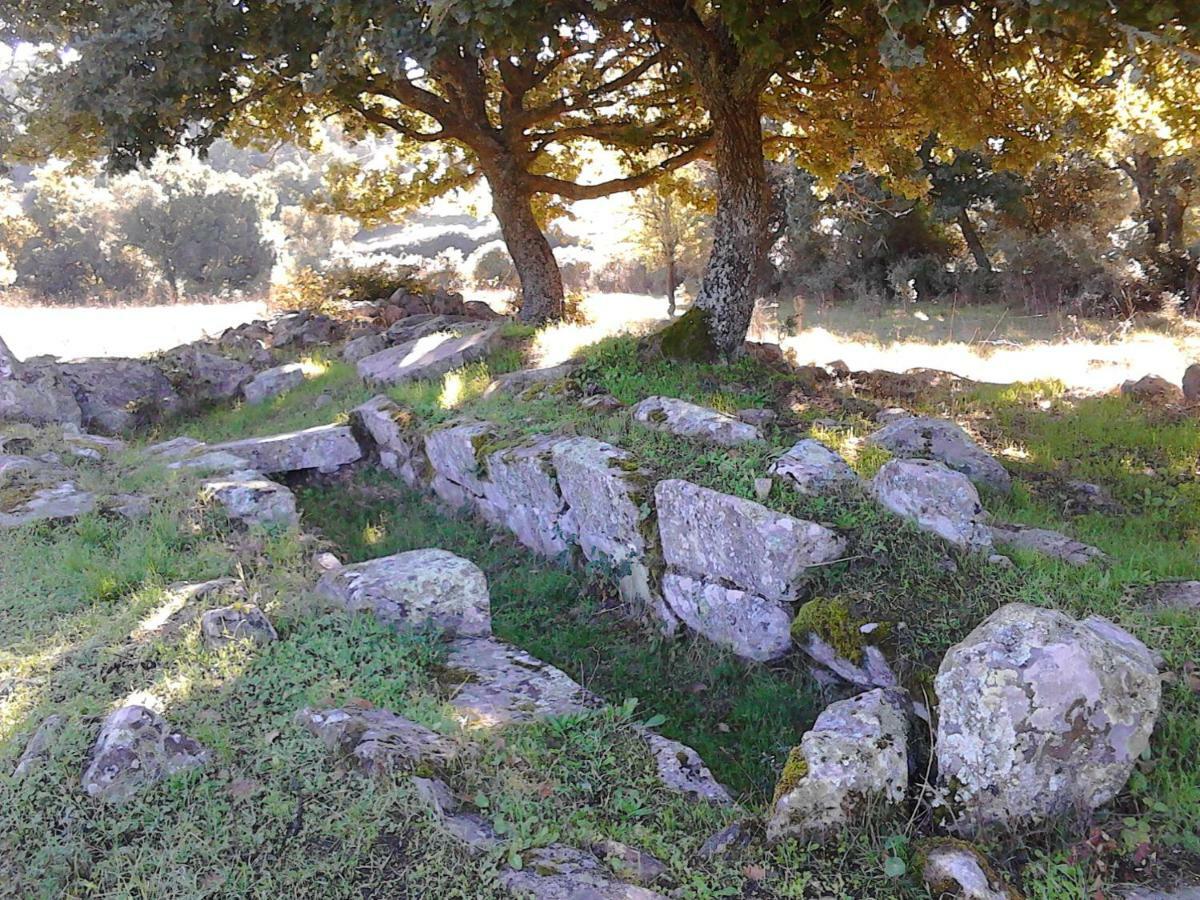 B&B I Menhir Sorgono Extérieur photo